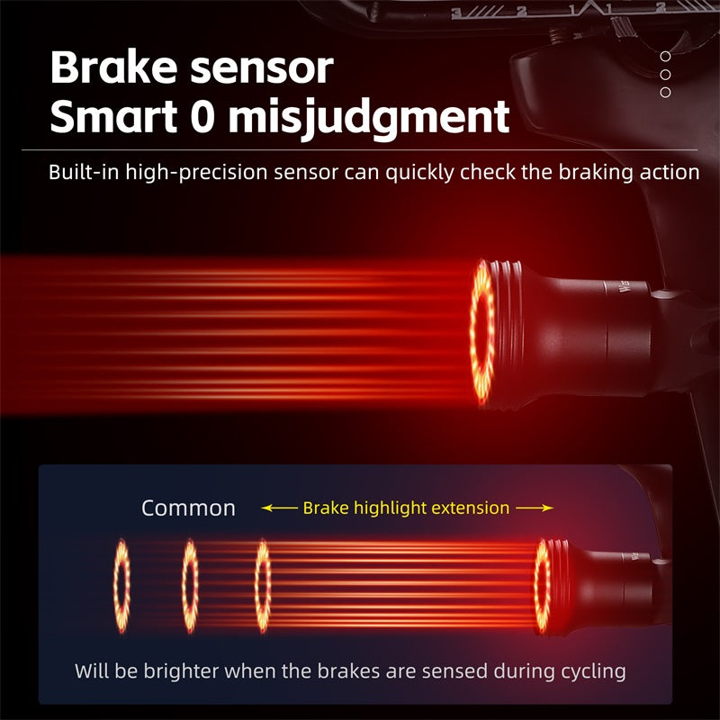 Smartlight™ : The Ultimate Rear Bike Light.