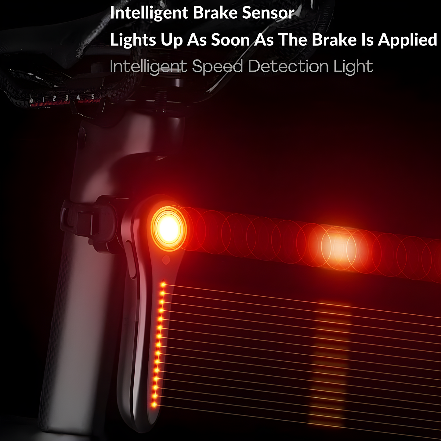 TailBright™ Pro Light