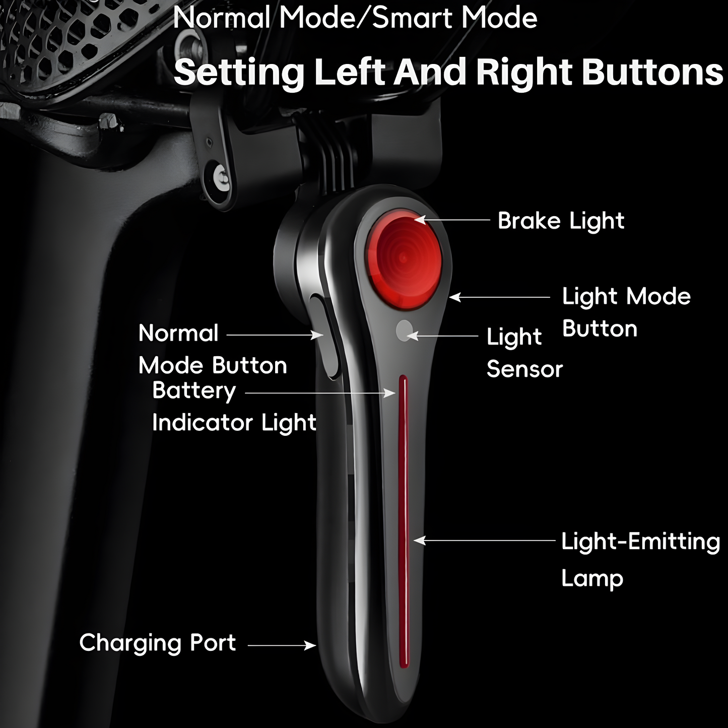 TailBright™ Pro Light